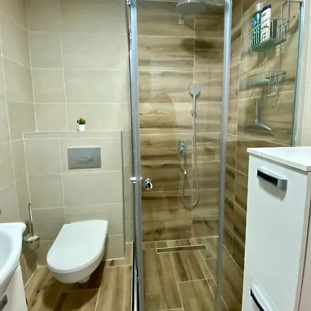 Jelena Апартаменты Баня-Ковиляча