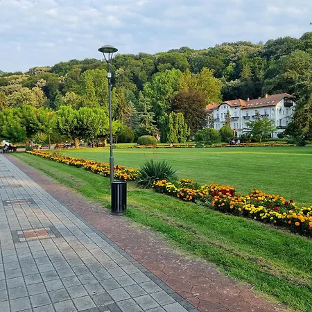 Апартаменты Jelena Баня-Ковиляча