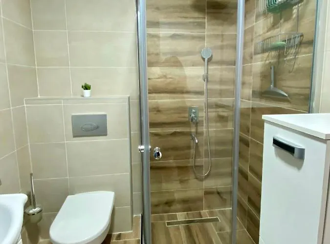 Jelena Apartment Banja Koviljača