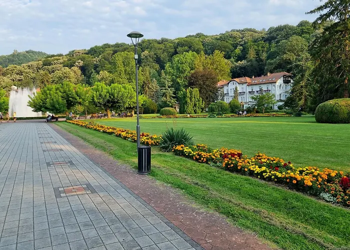 Apartment Jelena Banja Koviljača